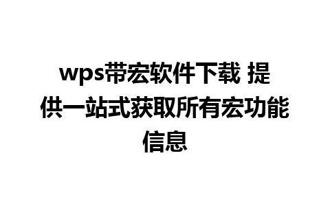 wps带宏软件下载 提供一站式获取所有宏功能信息