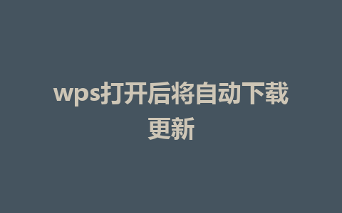 wps打开后将自动下载更新