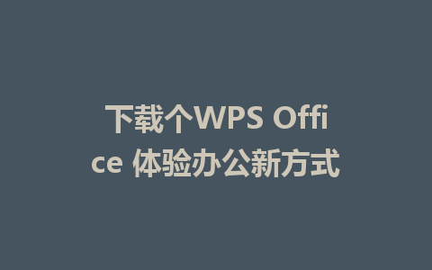 下载个WPS Office 体验办公新方式