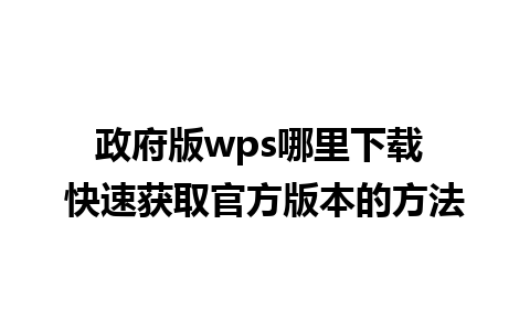 政府版wps哪里下载 快速获取官方版本的方法