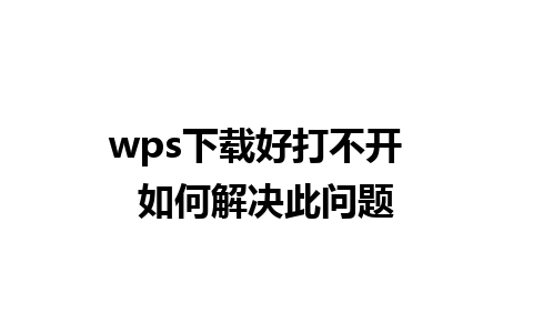 wps下载好打不开  如何解决此问题