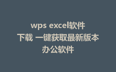 wps excel软件下载 一键获取最新版本办公软件