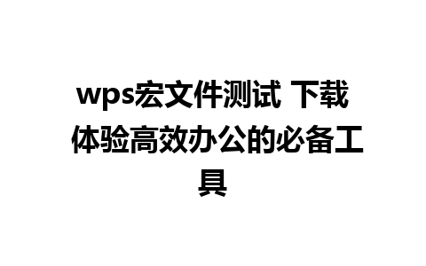 wps宏文件测试 下载 体验高效办公的必备工具