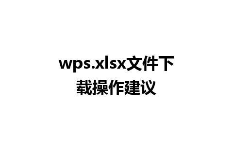 wps.xlsx文件下载操作建议