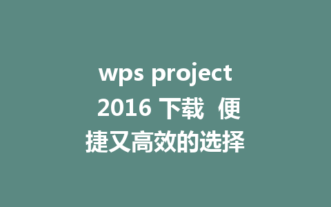 wps project 2016 下载  便捷又高效的选择