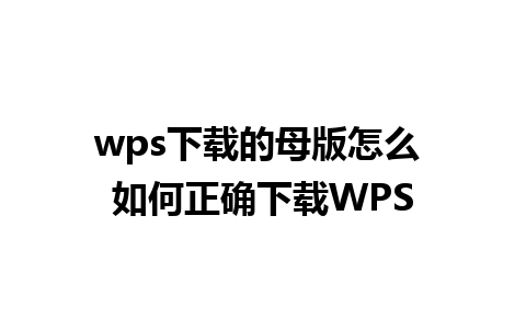 wps下载的母版怎么 如何正确下载WPS