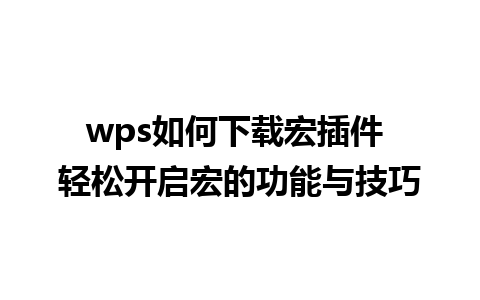 wps如何下载宏插件 轻松开启宏的功能与技巧