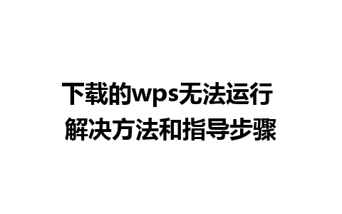 下载的wps无法运行 解决方法和指导步骤