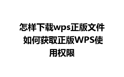 怎样下载wps正版文件 如何获取正版WPS使用权限