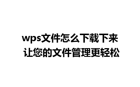 wps文件怎么下载下来 让您的文件管理更轻松