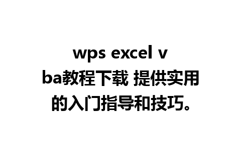 wps excel vba教程下载 提供实用的入门指导和技巧。