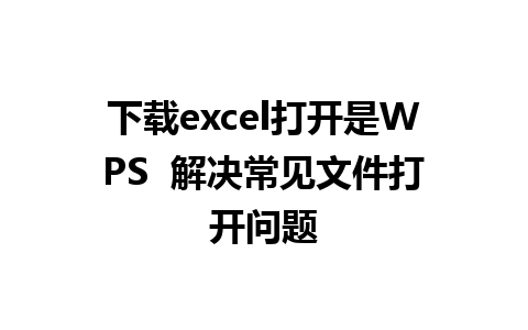 下载excel打开是WPS  解决常见文件打开问题