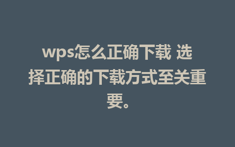 wps怎么正确下载 选择正确的下载方式至关重要。