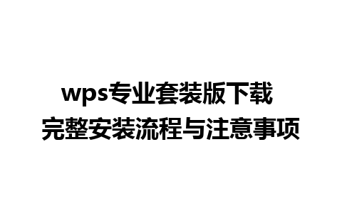 wps专业套装版下载 完整安装流程与注意事项