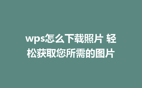 wps怎么下载照片 轻松获取您所需的图片