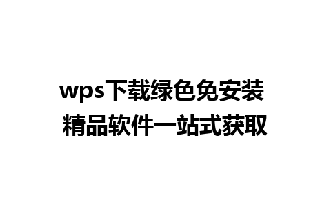 wps下载绿色免安装 精品软件一站式获取