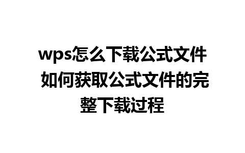 wps怎么下载公式文件 如何获取公式文件的完整下载过程