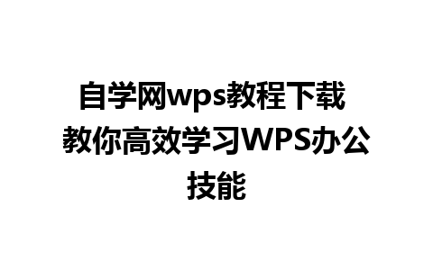 自学网wps教程下载 教你高效学习WPS办公技能