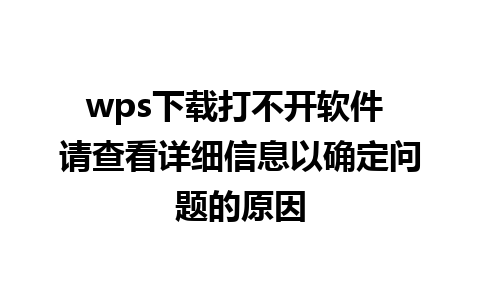 wps下载打不开软件 请查看详细信息以确定问题的原因