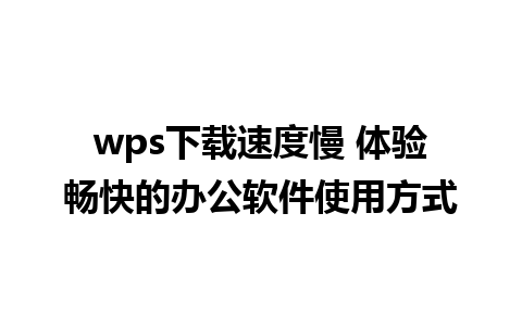 wps下载速度慢 体验畅快的办公软件使用方式