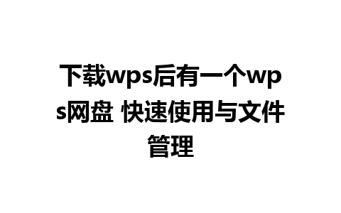 下载wps后有一个wps网盘 快速使用与文件管理