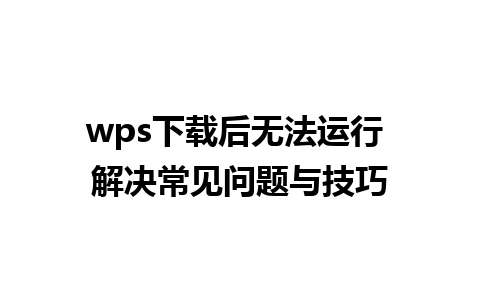 wps下载后无法运行 解决常见问题与技巧