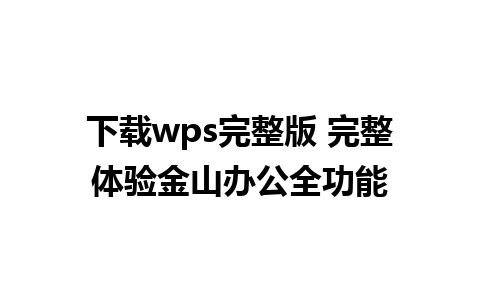 下载wps完整版 完整体验金山办公全功能