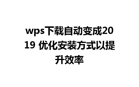 wps下载自动变成2019 优化安装方式以提升效率