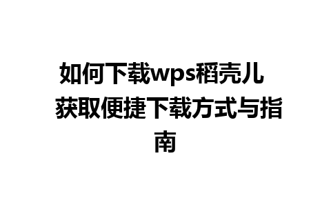 如何下载wps稻壳儿  获取便捷下载方式与指南