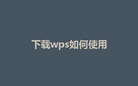 下载wps如何使用 