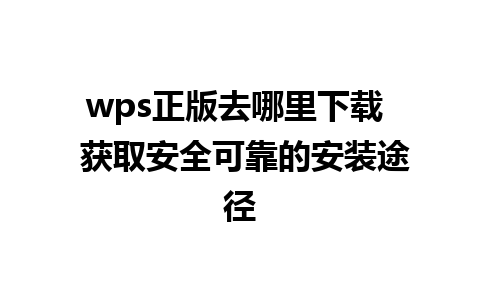 wps正版去哪里下载  获取安全可靠的安装途径