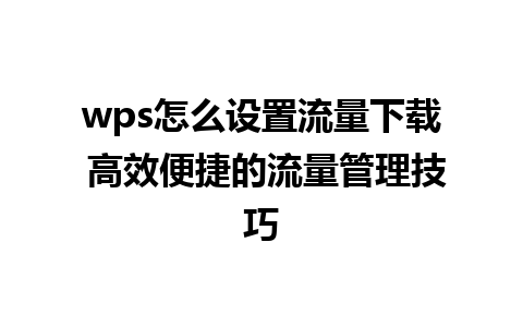 wps怎么设置流量下载 高效便捷的流量管理技巧