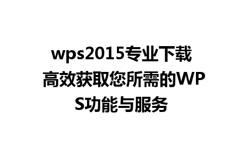 wps2015专业下载 高效获取您所需的WPS功能与服务