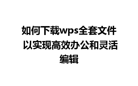 如何下载wps全套文件 以实现高效办公和灵活编辑