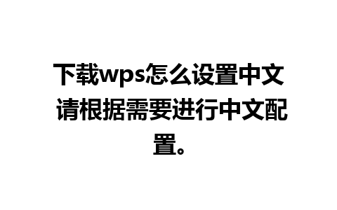 下载wps怎么设置中文 请根据需要进行中文配置。