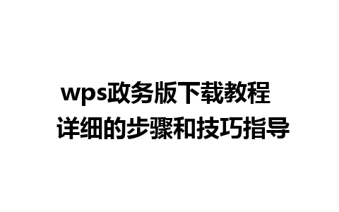 wps政务版下载教程  详细的步骤和技巧指导