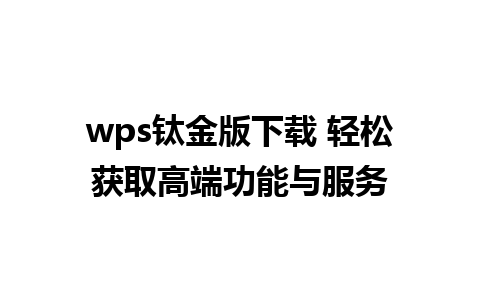 wps钛金版下载 轻松获取高端功能与服务