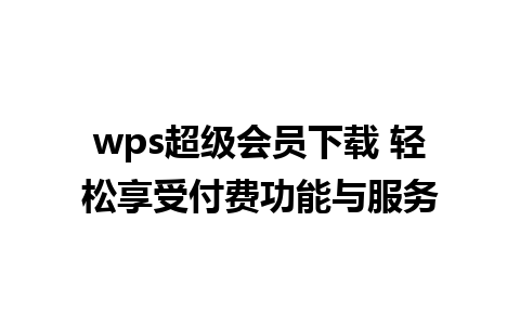 wps超级会员下载 轻松享受付费功能与服务