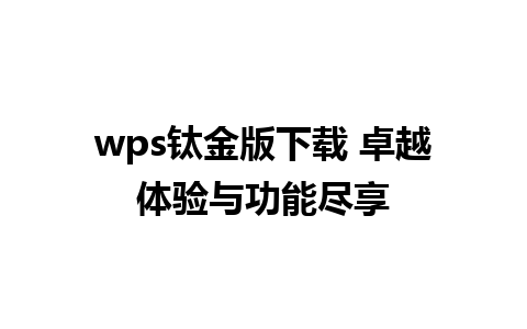 wps钛金版下载 卓越体验与功能尽享