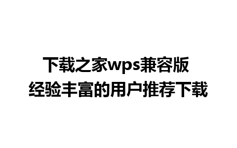 下载之家wps兼容版 经验丰富的用户推荐下载