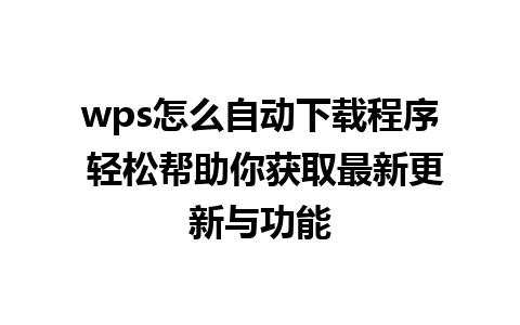 wps怎么自动下载程序 轻松帮助你获取最新更新与功能