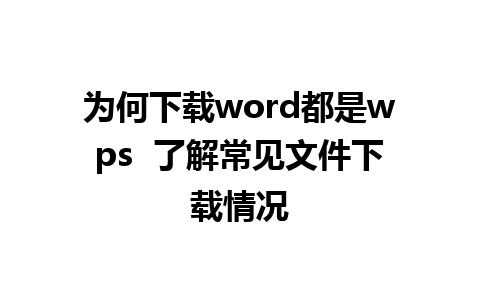 为何下载word都是wps  了解常见文件下载情况