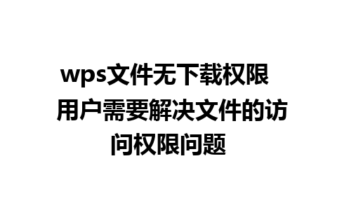 wps文件无下载权限  用户需要解决文件的访问权限问题