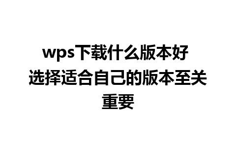 wps下载什么版本好 选择适合自己的版本至关重要