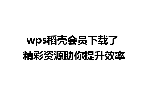 wps稻壳会员下载了 精彩资源助你提升效率