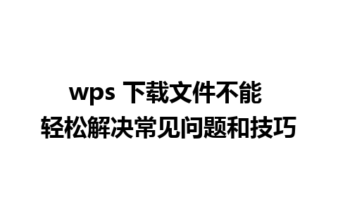 wps 下载文件不能 轻松解决常见问题和技巧