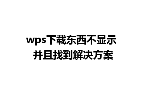 wps下载东西不显示 并且找到解决方案