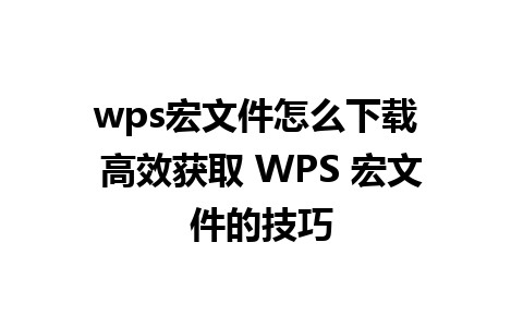 wps宏文件怎么下载 高效获取 WPS 宏文件的技巧