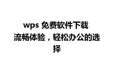 wps 免费软件下载 流畅体验，轻松办公的选择