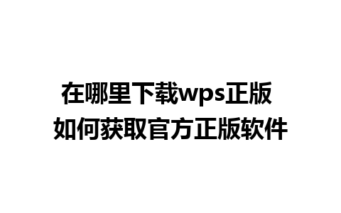 在哪里下载wps正版 如何获取官方正版软件